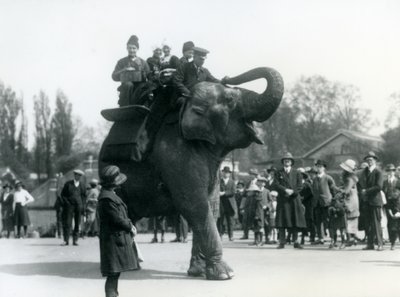 Armenische Besucher reiten auf Indiarani, beobachtet von Zuschauermengen, London Zoo, Mai 1923 von Frederick William Bond